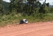 Encuentran dos jóvenes asesinados en el sector de La Montañita