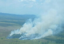 Biosfera del Río Plátano es arrasada por incendio