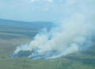 Biosfera del Río Plátano es arrasada por incendio