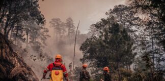 Según el ICF, Honduras roza las 200 mil hectáreas de bosque afectadas por incendios forestales