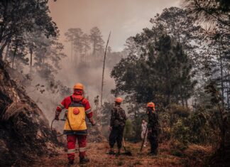 Según el ICF, Honduras roza las 200 mil hectáreas de bosque afectadas por incendios forestales