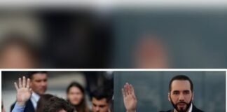 Milei irá a investidura de Bukele y se reunirá con directivos de tecnologías en EE.UU.