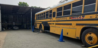 Asesinan a conductor de bus de la ruta urbana en San Pedro Sula