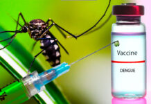 La OMS aprueba una nueva vacuna contra el dengue, que amenaza cada vez más América Latina