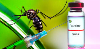 La OMS aprueba una nueva vacuna contra el dengue, que amenaza cada vez más América Latina