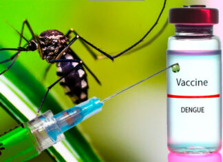 La OMS aprueba una nueva vacuna contra el dengue, que amenaza cada vez más América Latina