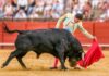 Colombia aprueba la prohibición de las corridas de toros