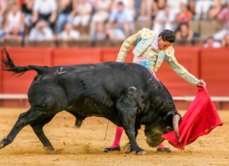 Colombia aprueba la prohibición de las corridas de toros