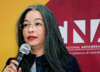 Intención del gobierno actual es quedarse en el poder sea como sea, señala directora del CNA