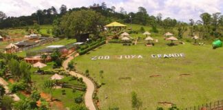 Director de OABI presenta denuncia en el MP por desvío millonario de fondos de Joya Grande