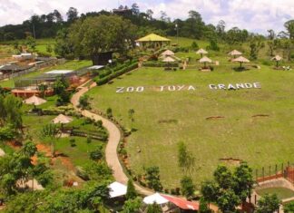 Director de OABI presenta denuncia en el MP por desvío millonario de fondos de Joya Grande