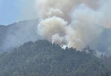 Ministro de ICF asegura que incendio en El Merendón está controlado