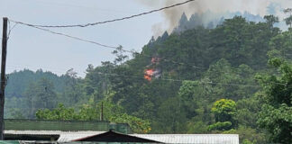 Incendio forestal a inmediaciones del zoológico Joya Grande