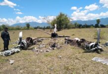 Narcovuelos caen en Centroamérica mientras traficantes varían métodos, publica InSight Crime