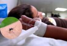 Doctor Umaña advierte que los jóvenes son la población más vulnerable del mortal dengue