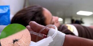 Doctor Umaña advierte que los jóvenes son la población más vulnerable del mortal dengue