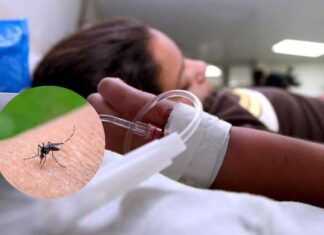 Doctor Umaña advierte que los jóvenes son la población más vulnerable del mortal dengue