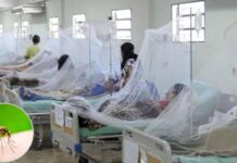 ¡Alarmante! Distrito Central registra mil casos de dengue por semana