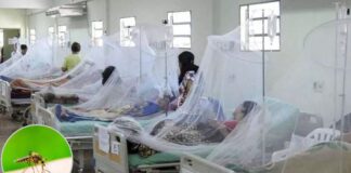 ¡Alarmante! Distrito Central registra mil casos de dengue por semana