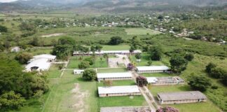 La SENAF convoca a una reunión interinstitucional de emergencia tras asesinatos en Nuevo Jalteva