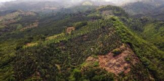 Defensores del medioambiente los más vulnerables en Honduras, según experta