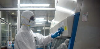 La OMS reporta en México la primera muerte humana por gripe aviar en el mundo