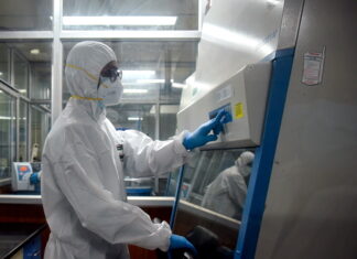 La OMS reporta en México la primera muerte humana por gripe aviar en el mundo