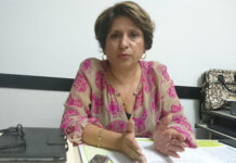 Muertes violentas de niños evidencia la debilidad institucional, señala exfiscal Nora Urbina