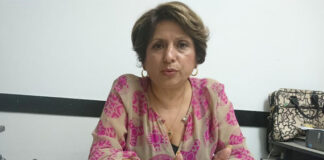 Muertes violentas de niños evidencia la debilidad institucional, señala exfiscal Nora Urbina