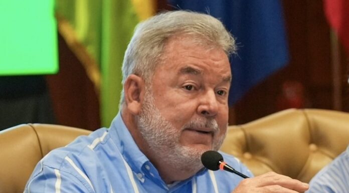 Presidente del CCEPL desautoriza a Iroshka Elvir de convocar a liberales para que protesten en las calles