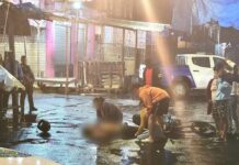 Joven de 16 años muere por un disparo supuestamente por agentes policiales en Comayagüela