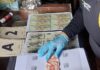 Desmantelan red criminal dedicada a la falsificación cación de moneda nacional y extranjera