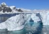 La Antártida sufre la crisis climática y requiere esfuerzos globales para su protección
