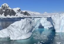 La Antártida sufre la crisis climática y requiere esfuerzos globales para su protección