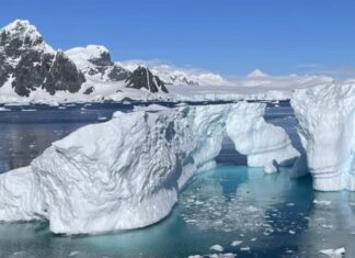 La Antártida sufre la crisis climática y requiere esfuerzos globales para su protección