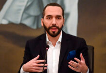 Nayib Bukele nombra a un experto en inteligencia artificial como asesor de su Gobierno
