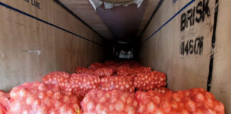 Honduras frena ingreso de 40 mil libras de cebolla vía contrabando