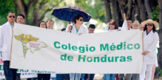 Colegio Médico de Honduras pide formar una mesa de alta gerencia técnico-científica contra el dengue