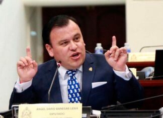 Darío Banegas rechaza “importación de candidatos” en el Partido Liberal, y dice que “una garza no puede representar al león del liberalismo”