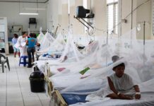 Honduras suma 38 muertes por dengue y más de 18.000 casos sospechosos en lo que va de 2024