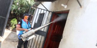 La AMDC pide a la población abrir las puertas de sus casas a operativos de fumigación contra el dengue