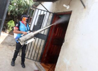 La AMDC pide a la población abrir las puertas de sus casas a operativos de fumigación contra el dengue