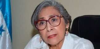 Diputada Espinoza: «Plan anunciado por el CNDS es más de lo mismo y el Gobierno sigue en improvisaciones»