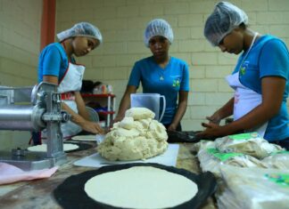 Microempresarios del norte del país dicen que las ventas bajaron 70 % a causa de los “apagones”