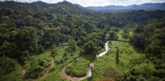 La Unión Europea y el IICA destinarán 17,1 millones de dólares para proyecto ´Bosques Vivos´ de Honduras