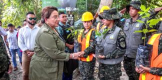 Honduras invertirá 769,6 millones de dólares en un plan para combatir la deforestación