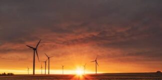 Gobiernos de Centroamérica se esfuerzan por completar su transición a la energía verde