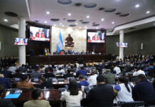 Dirigente liberal dice que los diputados sólo pueden ser sustituidos en caso de muerte