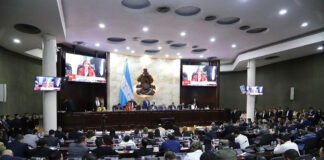 Dirigente liberal dice que los diputados sólo pueden ser sustituidos en caso de muerte