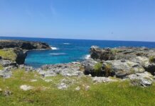 Pobladores de La Mosquitia anuncian marchas en Tegucigalpa para protestar por cárcel en Islas del Cisne